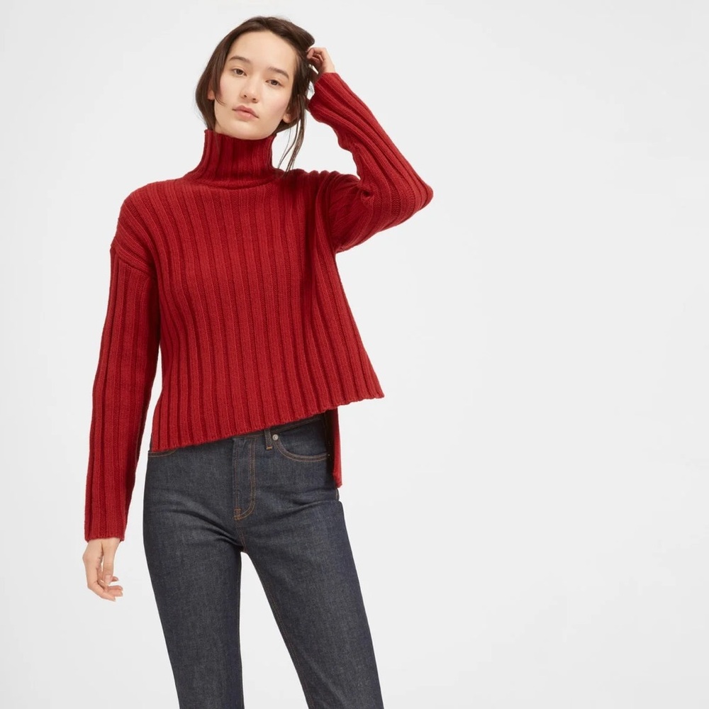 Everlane The Wool-cashmere Rib Oversized Turtleneck Sweater